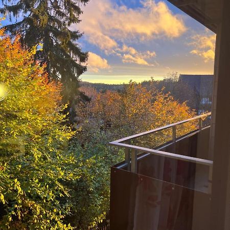 Moderne Und Zentral Gelegene Ferienwohnung In Braunlage Mit Rodelpiste Und Start Ski Langlauf In 300 Metern Entfernung エクステリア 写真