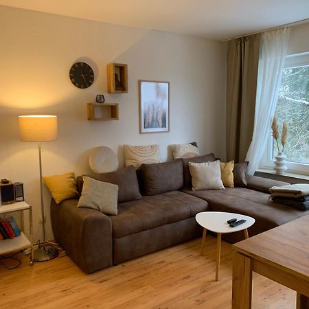 Moderne Und Zentral Gelegene Ferienwohnung In Braunlage Mit Rodelpiste Und Start Ski Langlauf In 300 Metern Entfernung エクステリア 写真