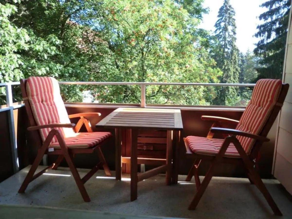 Moderne Und Zentral Gelegene Ferienwohnung In Braunlage Mit Rodelpiste Und Start Ski Langlauf In 300 Metern Entfernung エクステリア 写真
