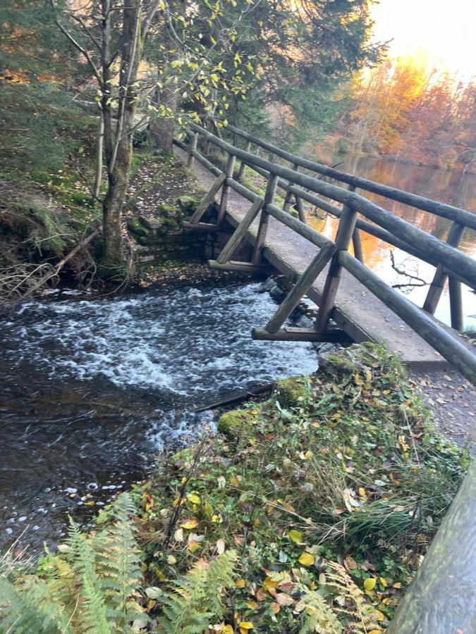 Moderne Und Zentral Gelegene Ferienwohnung In Braunlage Mit Rodelpiste Und Start Ski Langlauf In 300 Metern Entfernung エクステリア 写真
