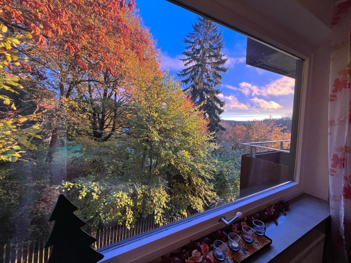 Moderne Und Zentral Gelegene Ferienwohnung In Braunlage Mit Rodelpiste Und Start Ski Langlauf In 300 Metern Entfernung エクステリア 写真