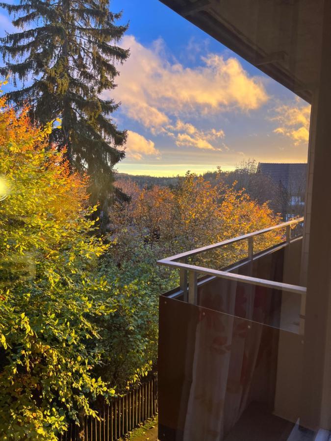 Moderne Und Zentral Gelegene Ferienwohnung In Braunlage Mit Rodelpiste Und Start Ski Langlauf In 300 Metern Entfernung エクステリア 写真