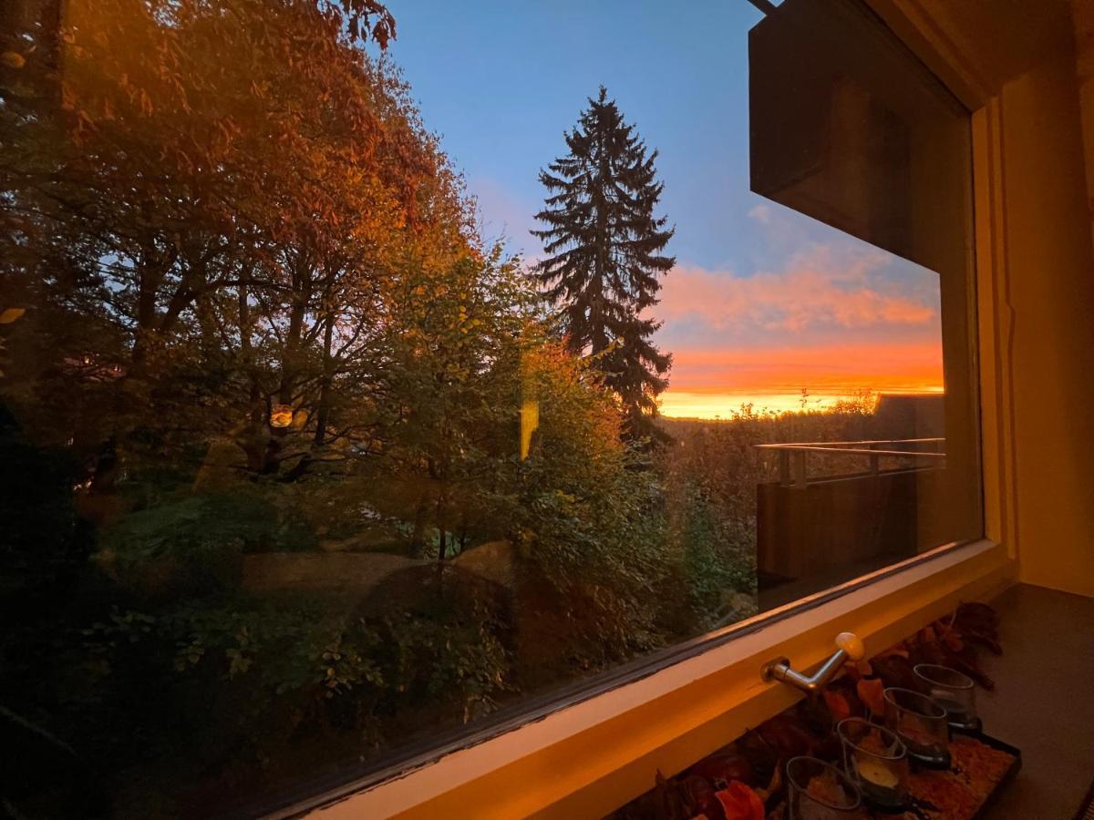 Moderne Und Zentral Gelegene Ferienwohnung In Braunlage Mit Rodelpiste Und Start Ski Langlauf In 300 Metern Entfernung エクステリア 写真